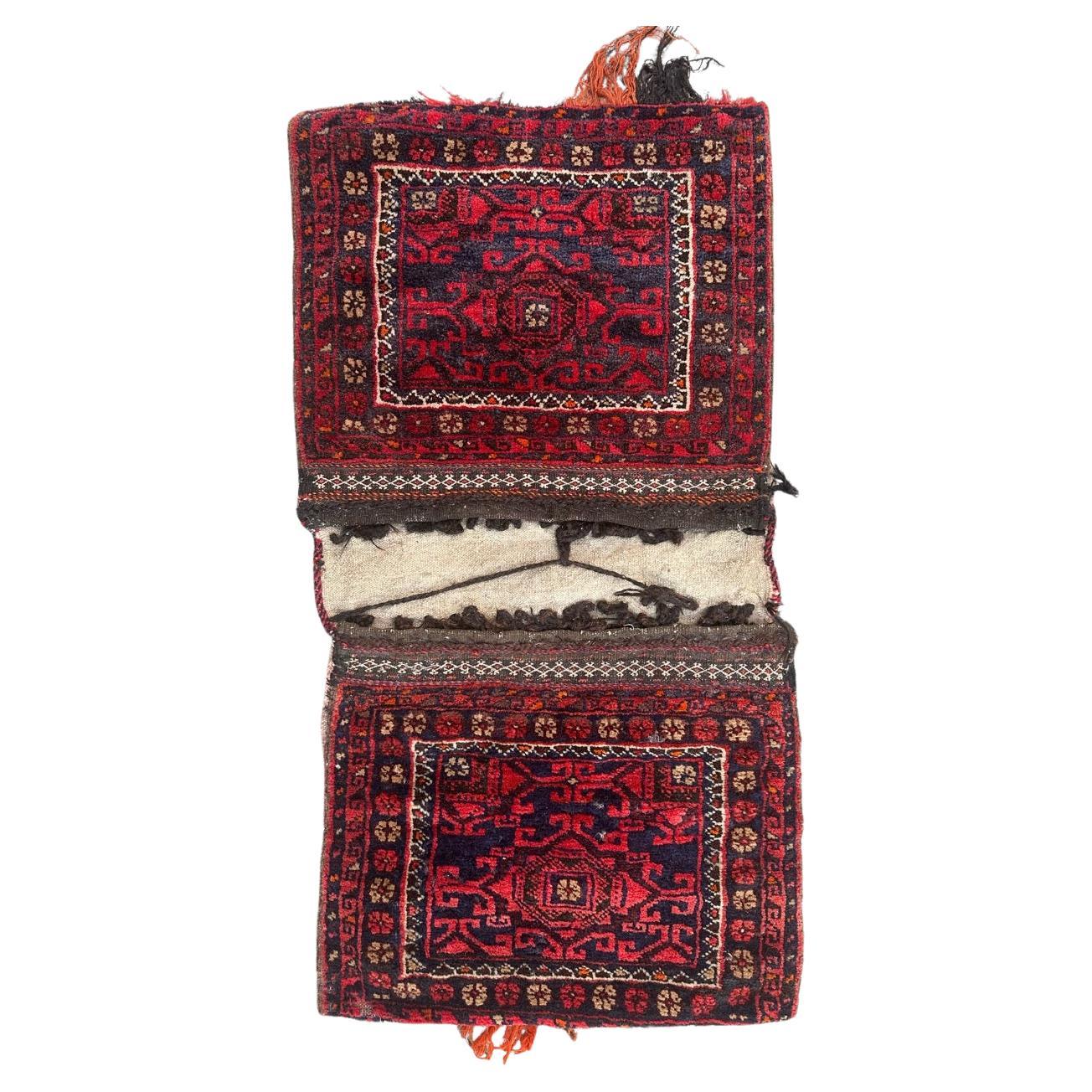 pretty mid century Turkmen chuval, horse cover, rug