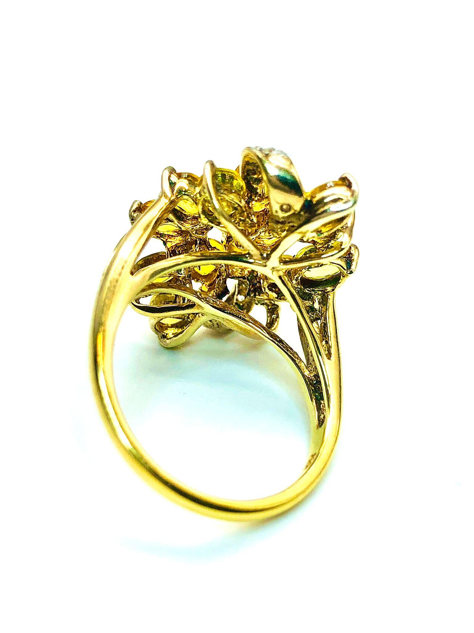 Anello Bochic 