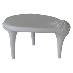 Bodily, Coffee Table by Tamara Barrage for House of Today