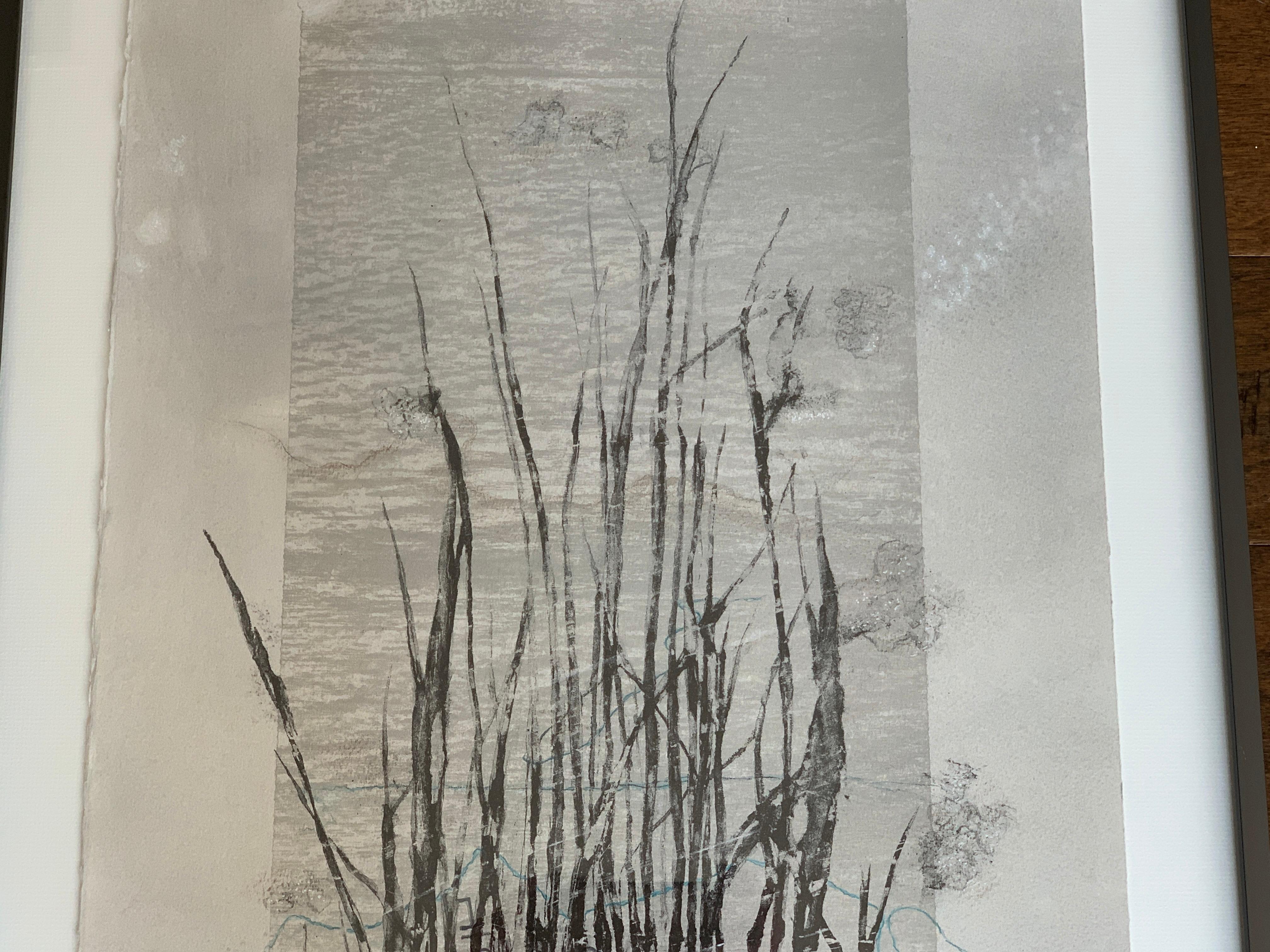 American 'Bog Grass' 1/4 Photolithograph Mixed-Media by Laurie Carnohan, 2019