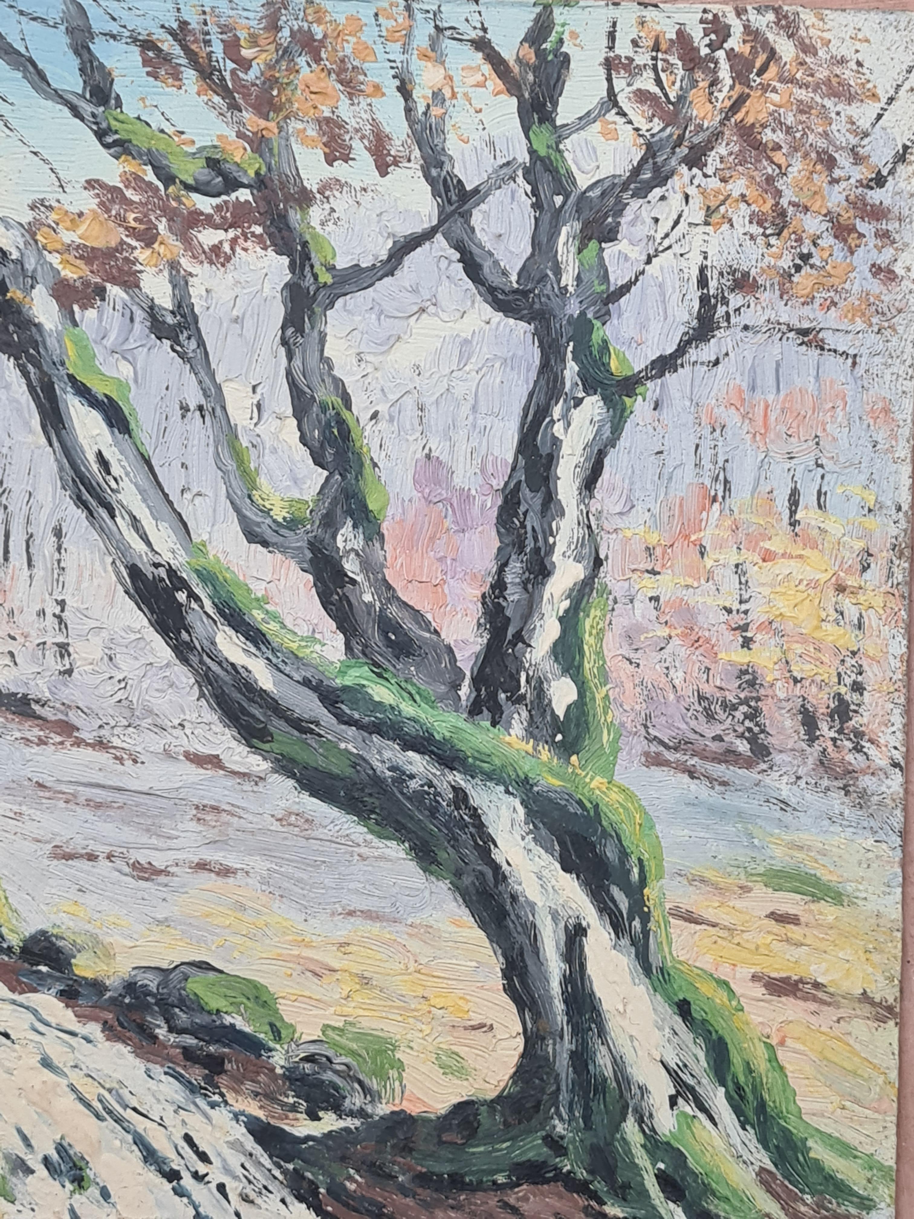 vincent boggio