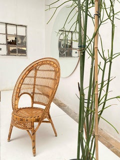 Bohemian 1970's Handwoven Peacock Chair