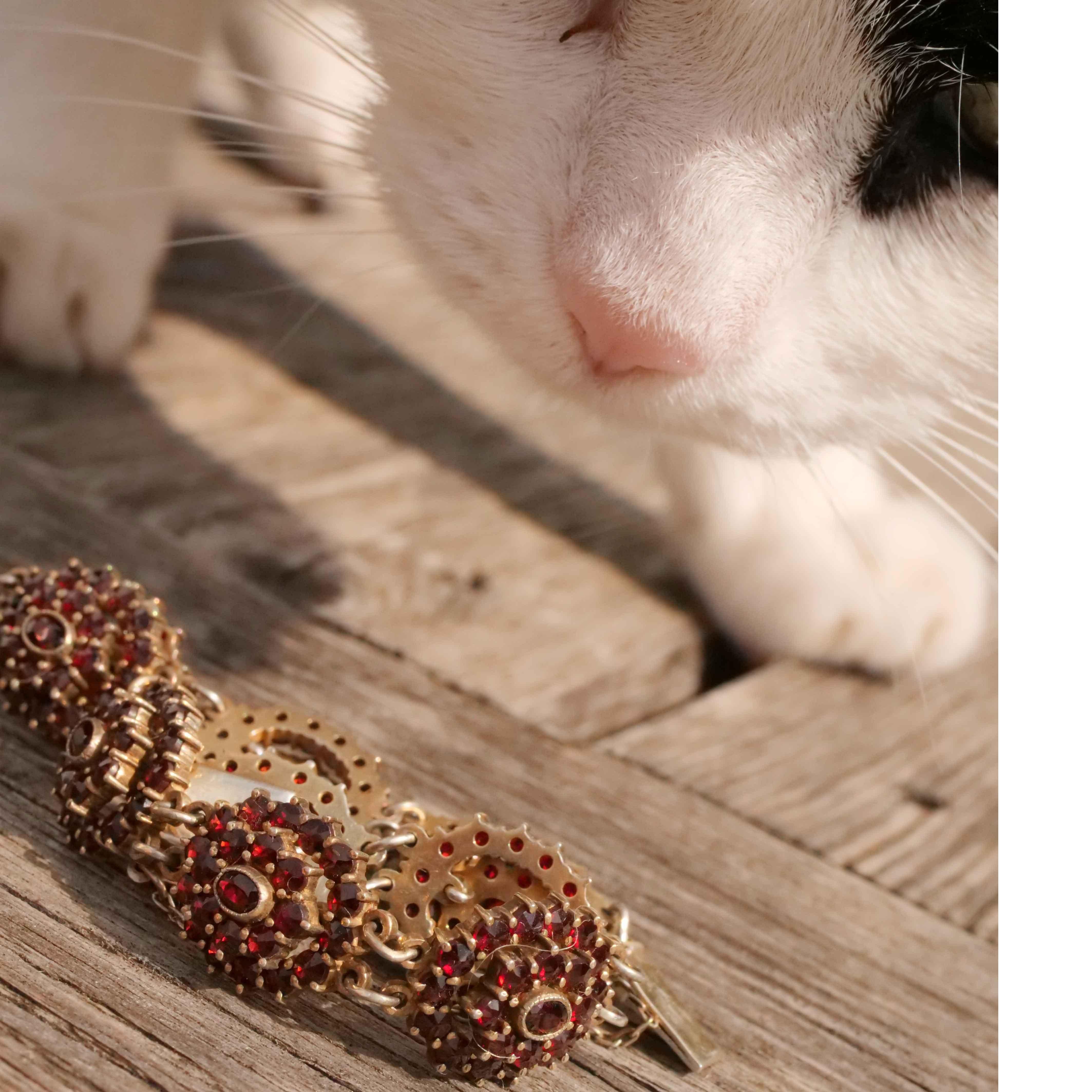 Bohemian Garnet Bracelet 1910-20 Silver 835 Czech Republic Carbuncle Stones For Sale 1
