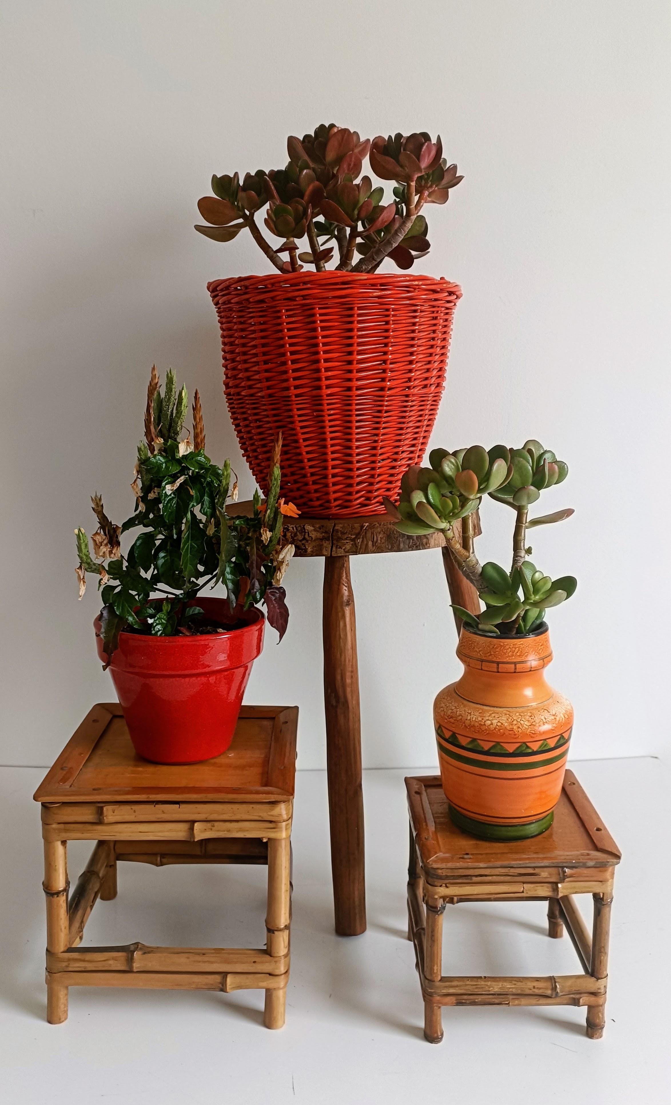 Metà XX secolo Cestino di vimini rosso corallo di metà secolo, Francia, circa 1960 in vendita