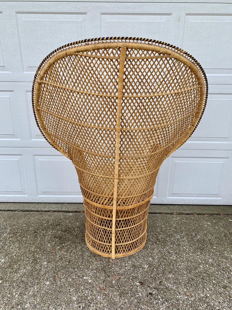 Bohemian Wicker Emanuelle Peacock Chair For Sale at 1stDibs