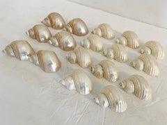 Boho Chic Shell Napkin Rings, Set of 17