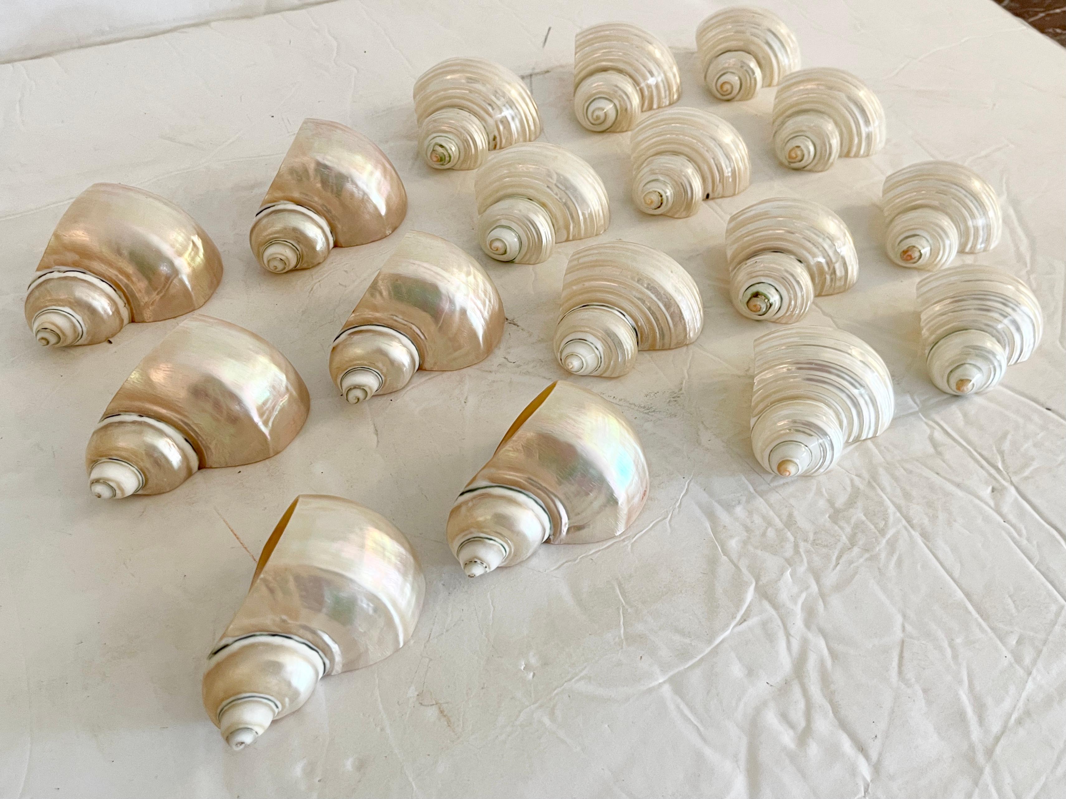 Modern Boho Chic Shell Napkin Rings, Set of 17