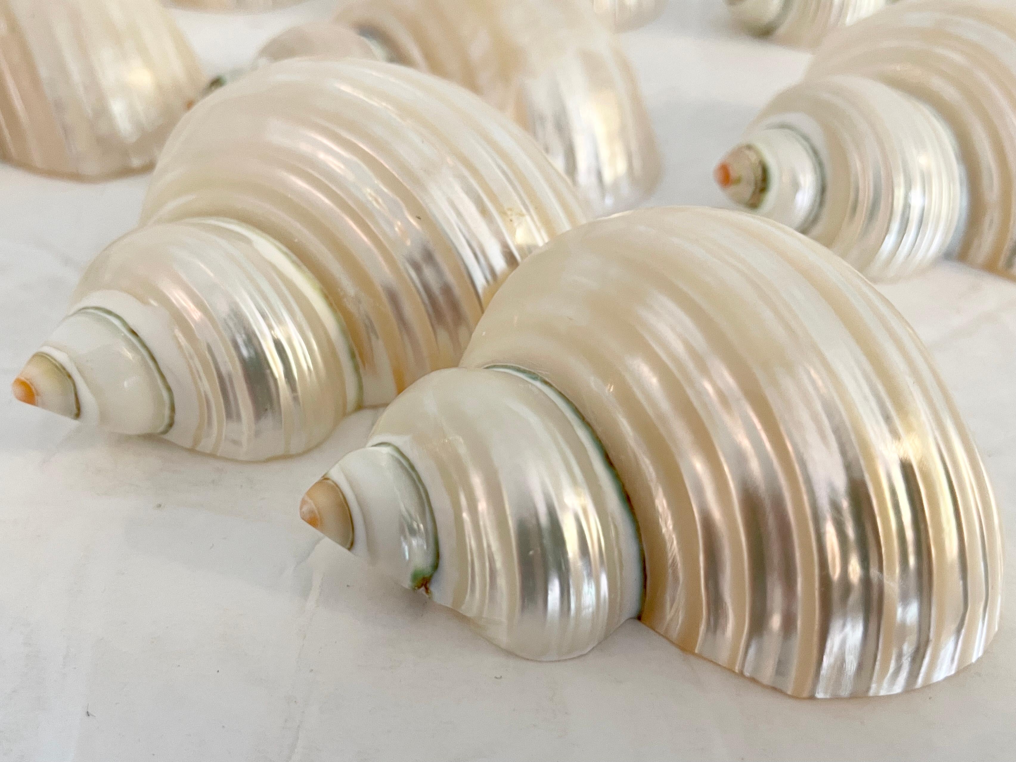 Boho Chic Shell Napkin Rings, Set of 17 In Good Condition In Los Angeles, CA