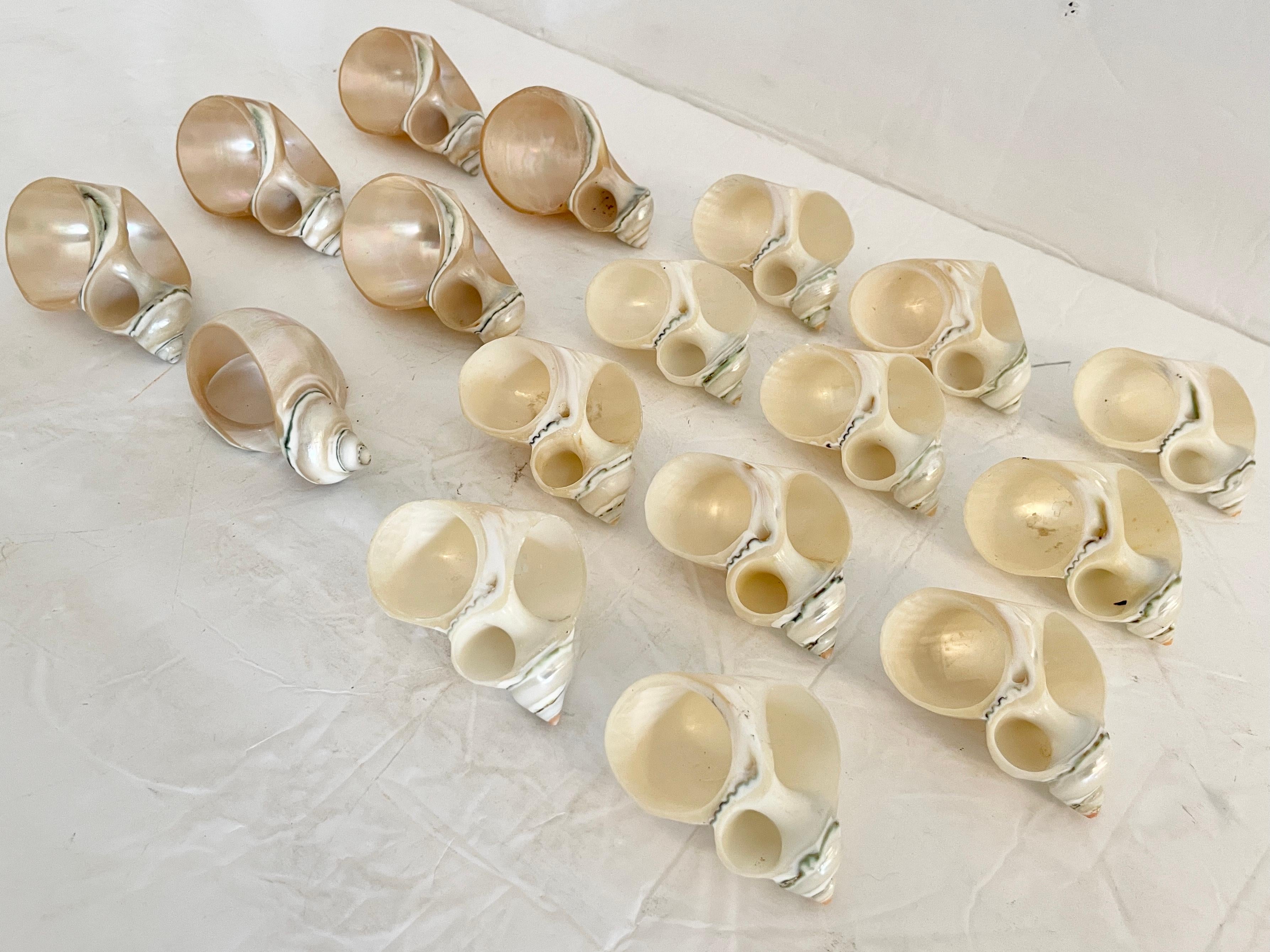 Boho Chic Shell Napkin Rings, Set of 17 1