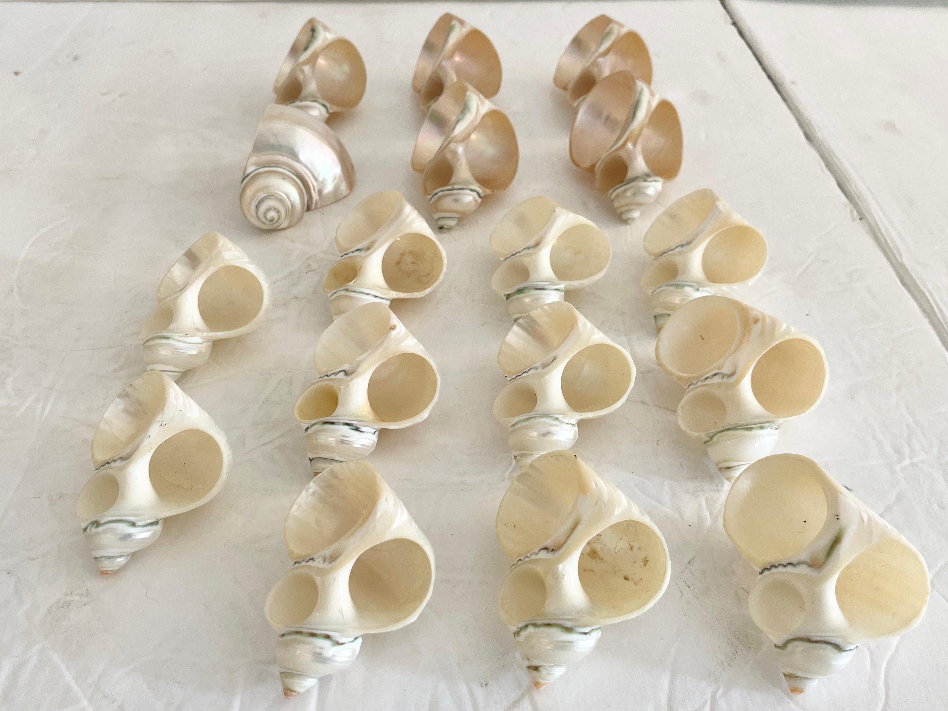 Boho Chic Shell Napkin Rings, Set of 17 2