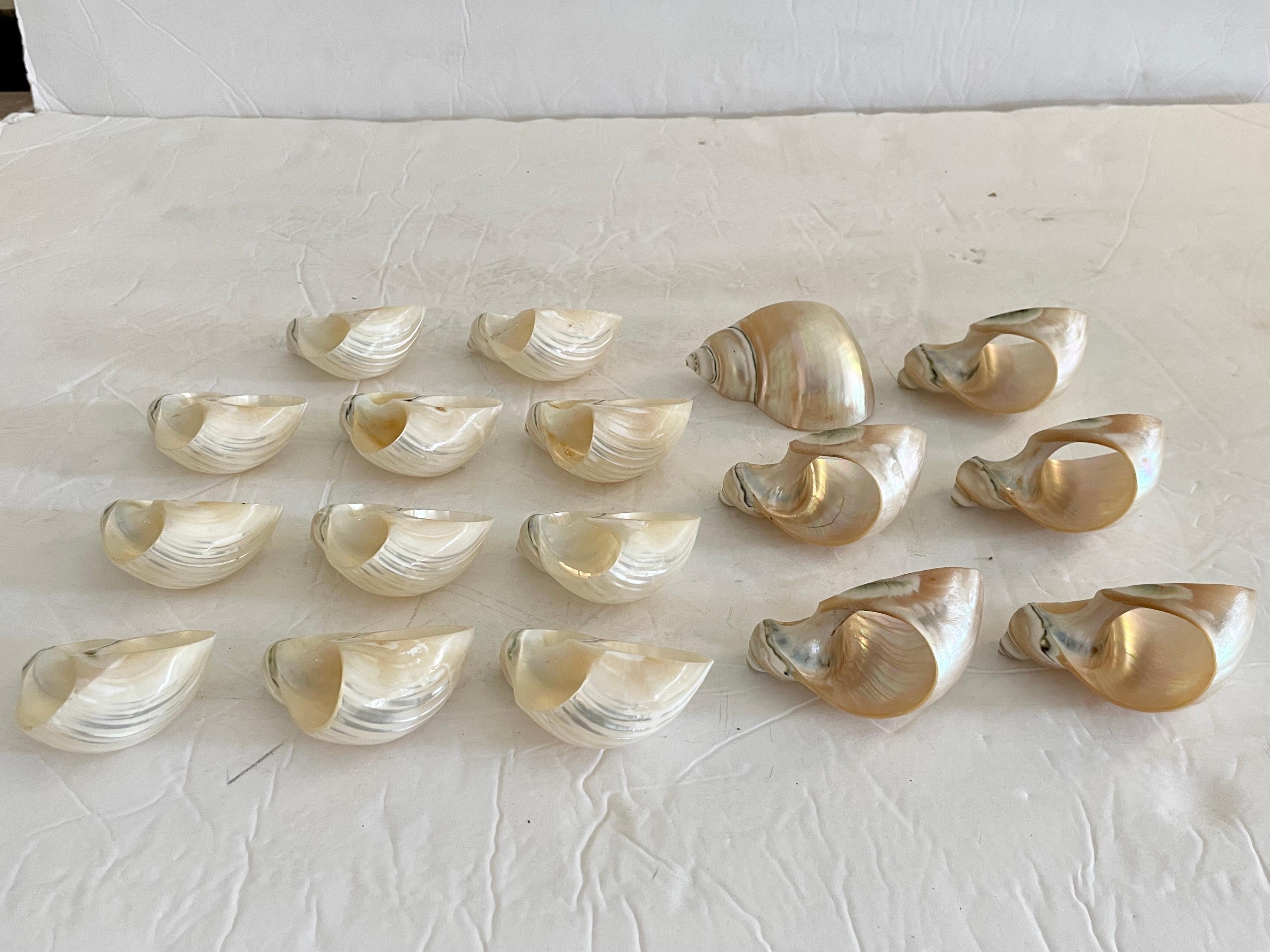 Boho Chic Shell Napkin Rings, Set of 17 3
