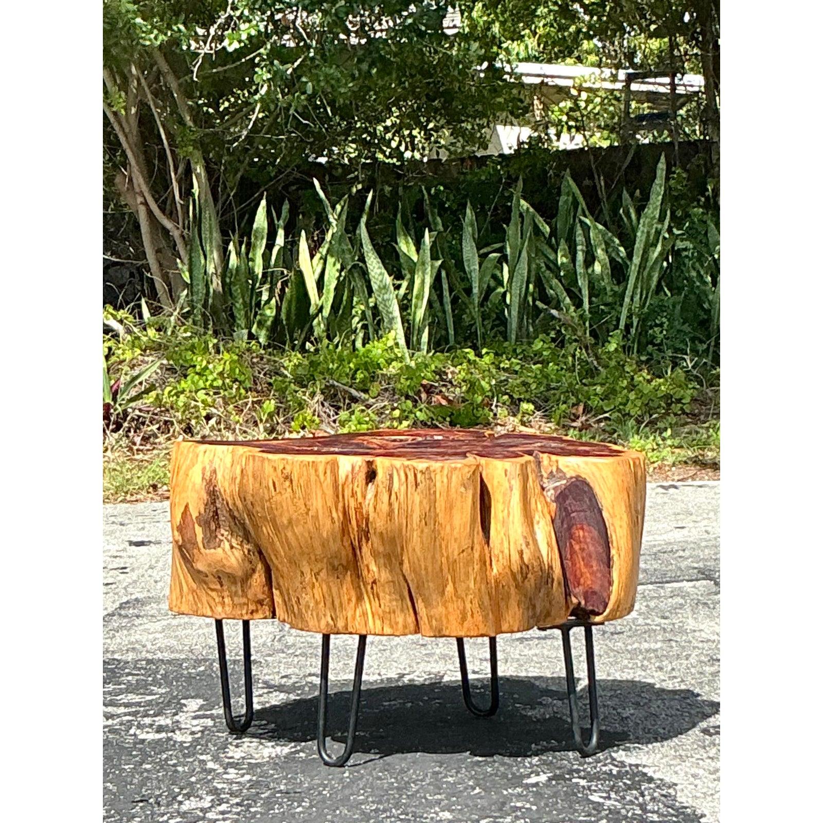 Apportez un charme organique et une élégance rustique à votre espace avec cette table basse en dalles boho vintage unique en son genre. Fabriquée à la main à partir d'une épaisse plaque de bois naturel richement grainé, cette pièce d'apparat capture