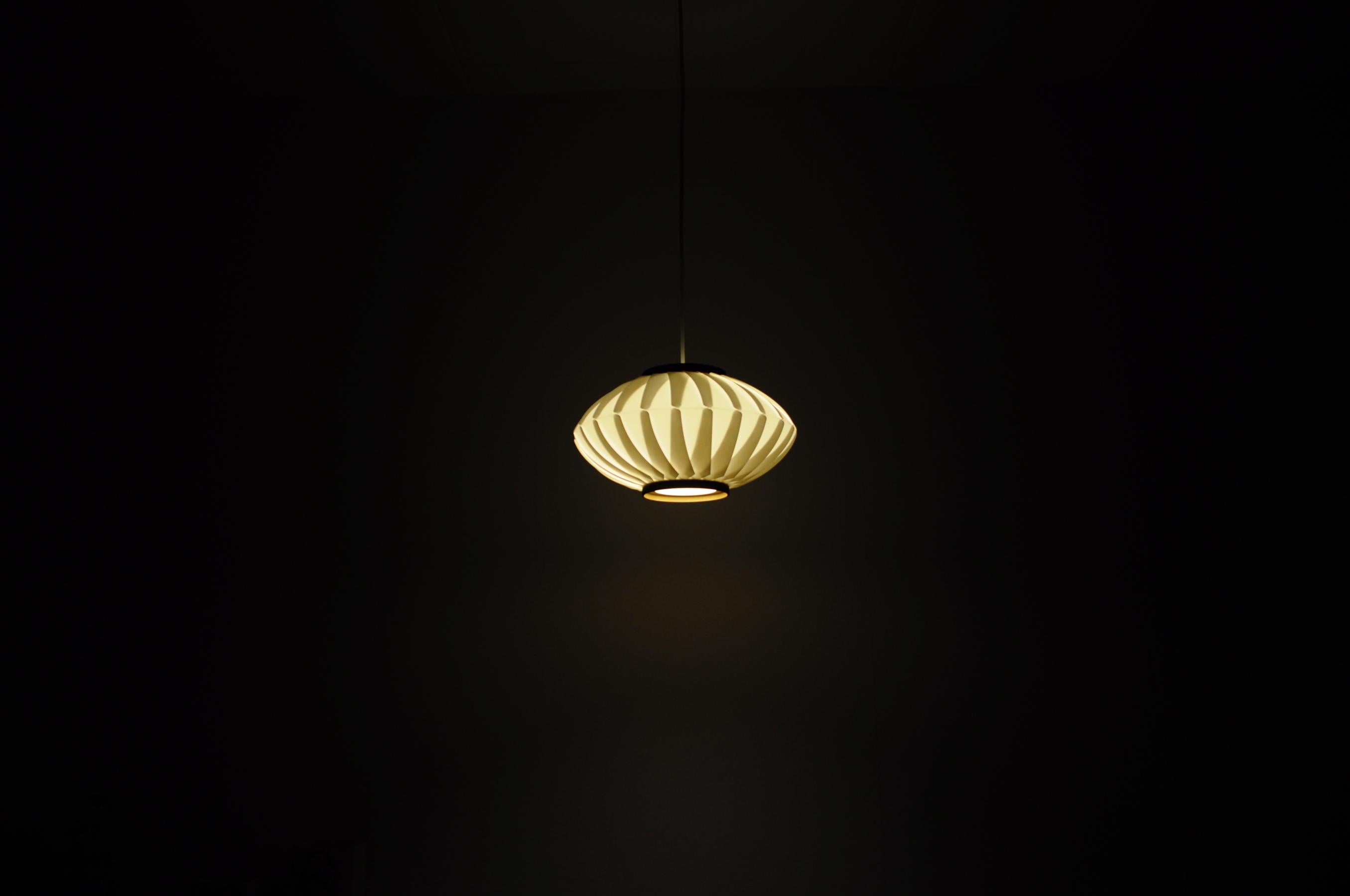 Anemone Pendant Lamp by Lars Eiler Schiøler for Hoyrup Light, 1970s For Sale 5
