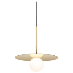 Bola Disc Pendant Light in Brass by Pablo Designs