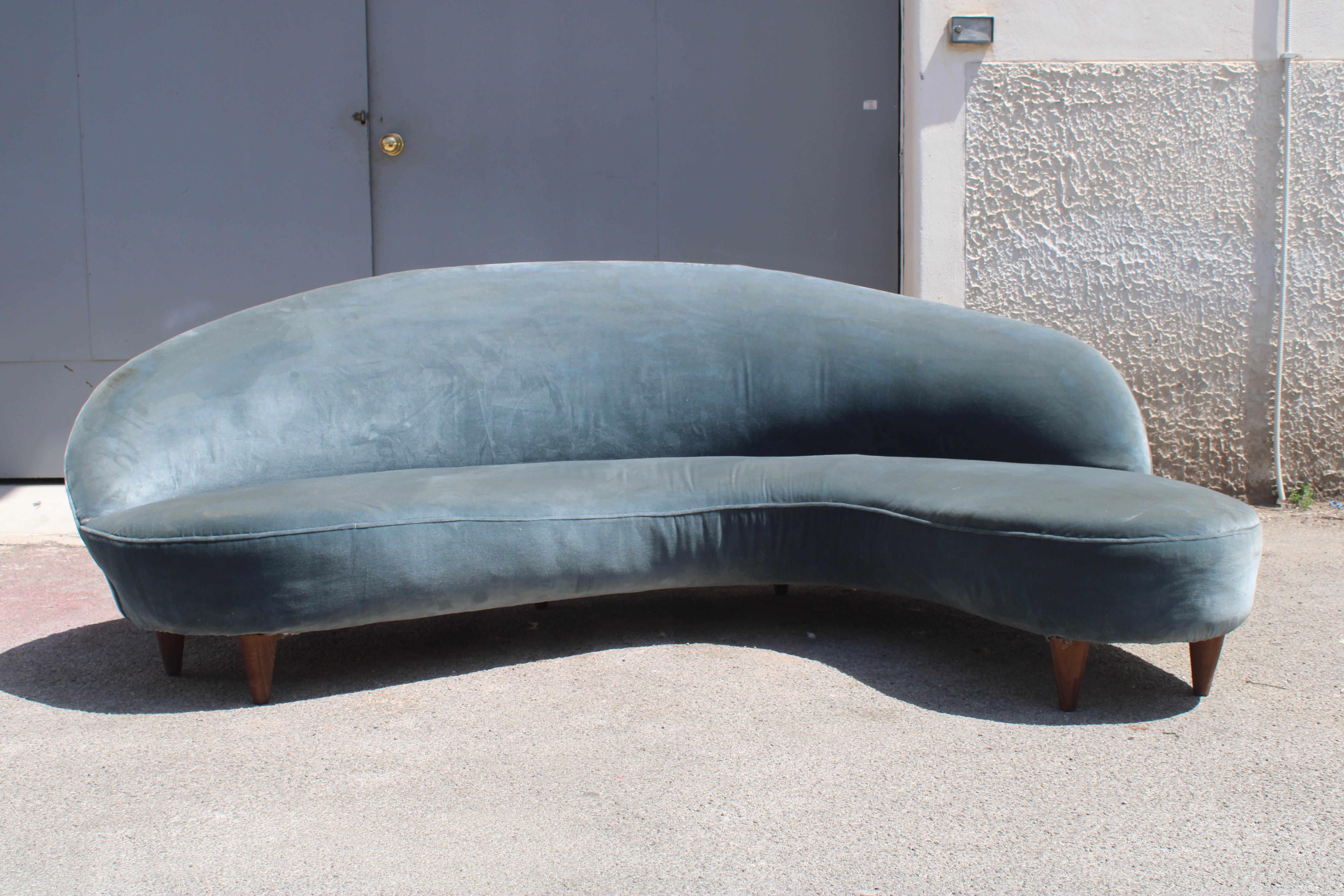 Originale e raro Divano Bomerang curvo degli anni 1950 di Cesare Lacca in Velluto blu originale, e piedi in faggio. presenta delle macchie come da foto .