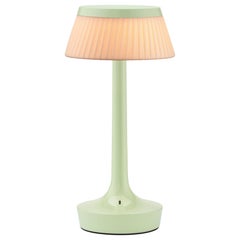 Bon Jour Unplugged Table Lamp in Fresh Mint & Crown in Fabric
