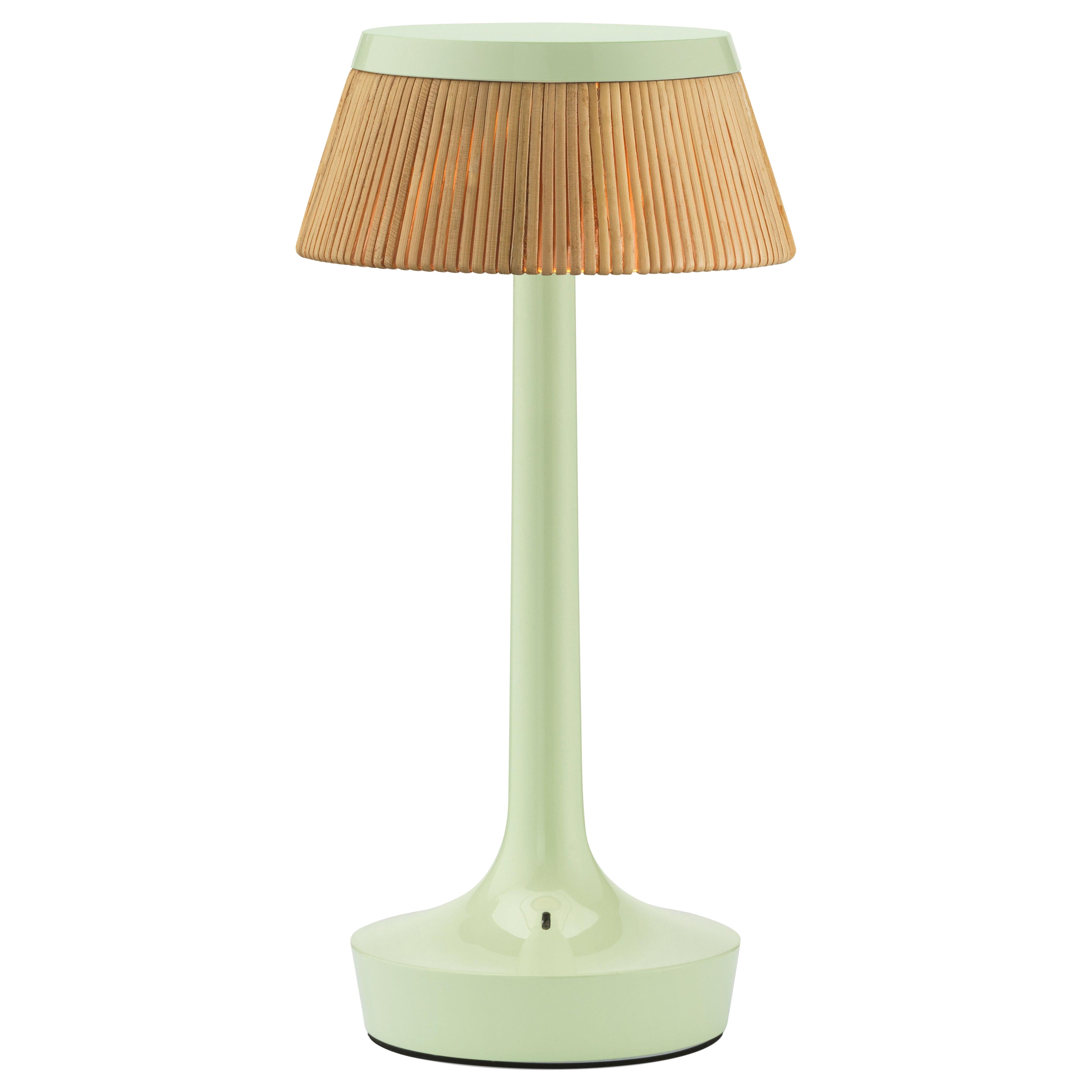 Bon Jour Unplugged Table Lamp in Fresh Mint & Crown in Rattan