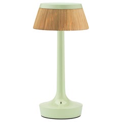 Bon Jour Unplugged Table Lamp in Fresh Mint & Crown in Rattan