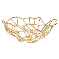 Retro Bone Extra Large Bowl in Brass by Tom Dixon