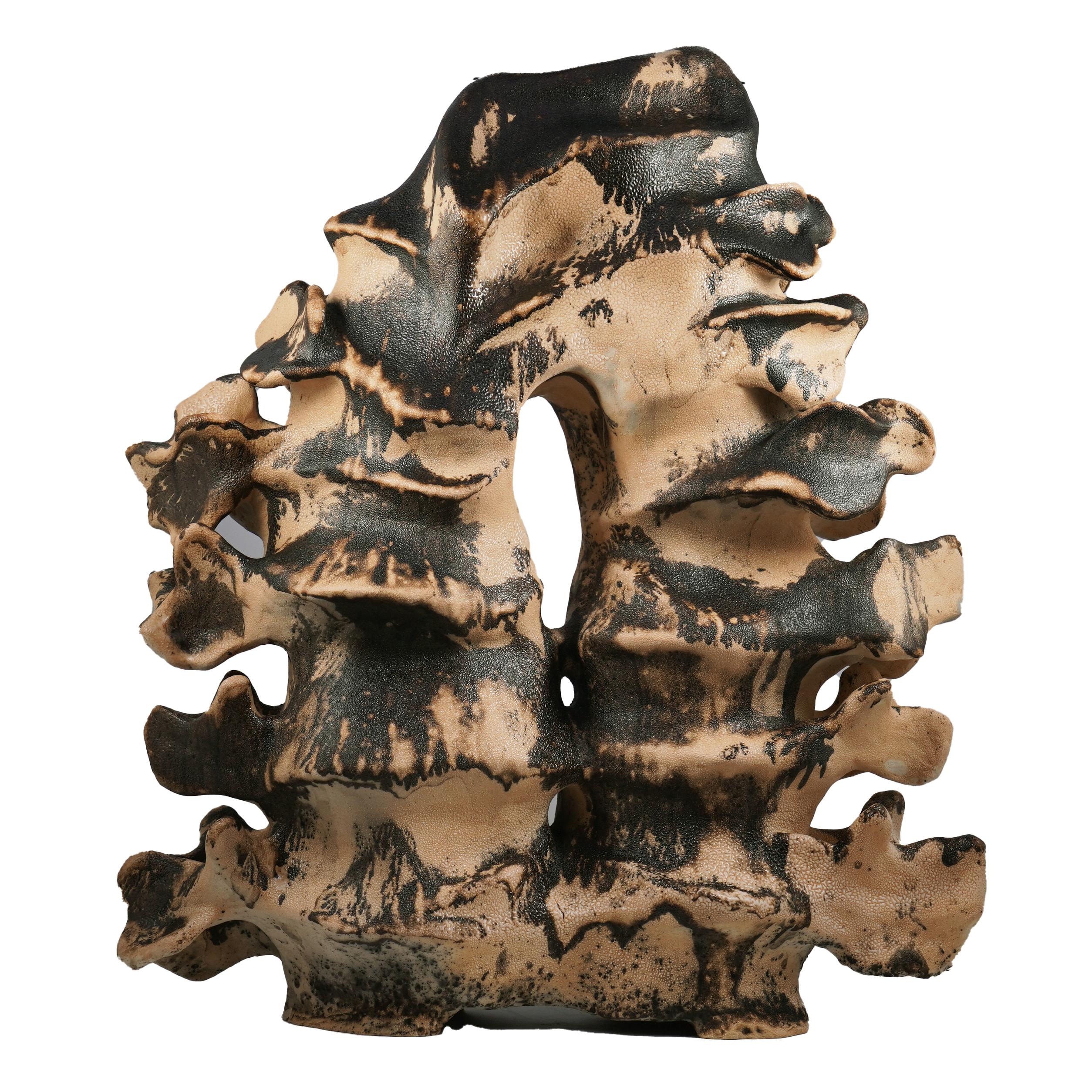 Moderne Série Bone n°2, collection Bones, sculpture en céramique raku d'Adil Ghani en vente