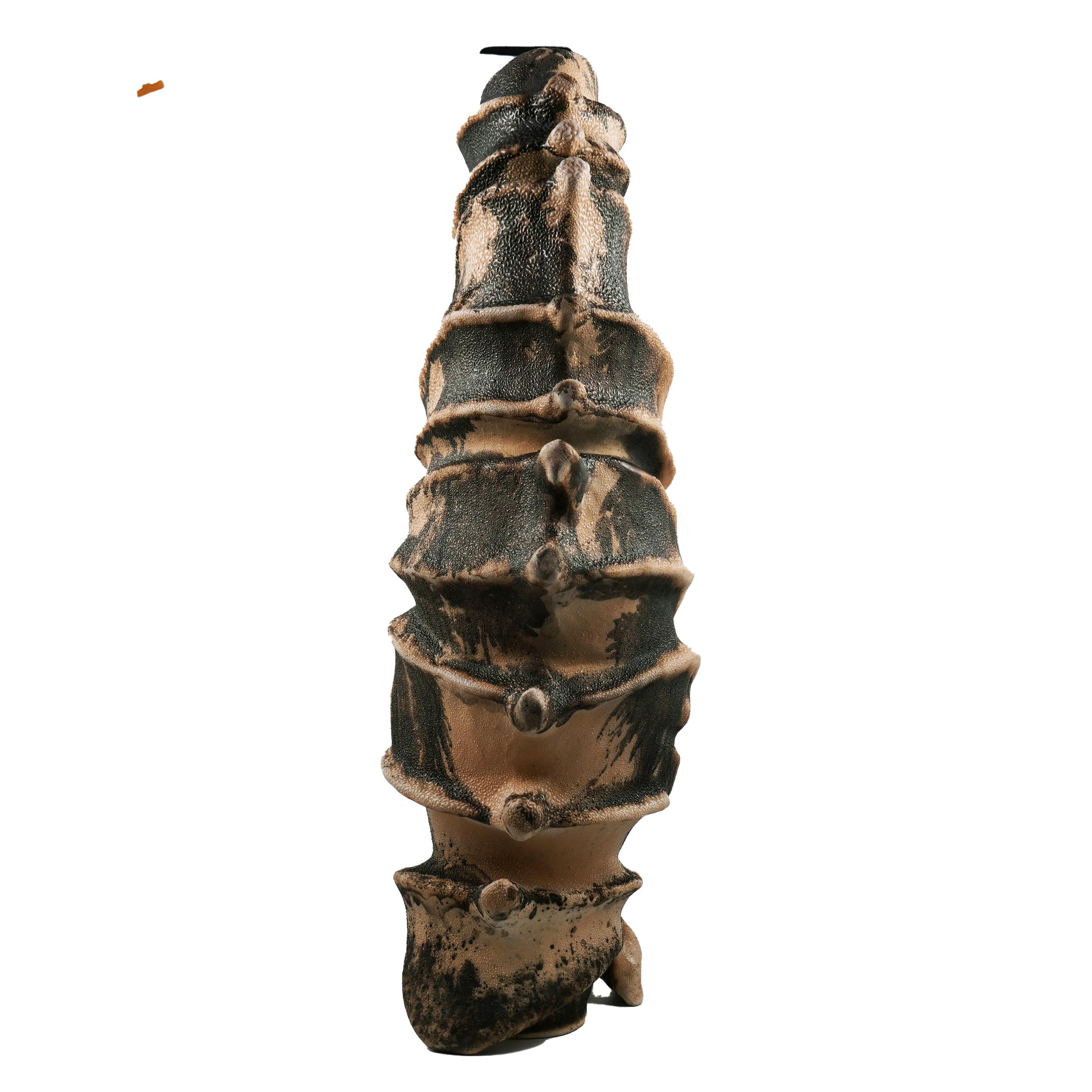 Malaisien Série Bone n°3, collection Bones, sculpture en céramique raku d'Adil Ghani en vente