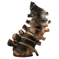 Bone series no.4 - Bones collection raku ceramic pottery sculpture by Adil Ghani