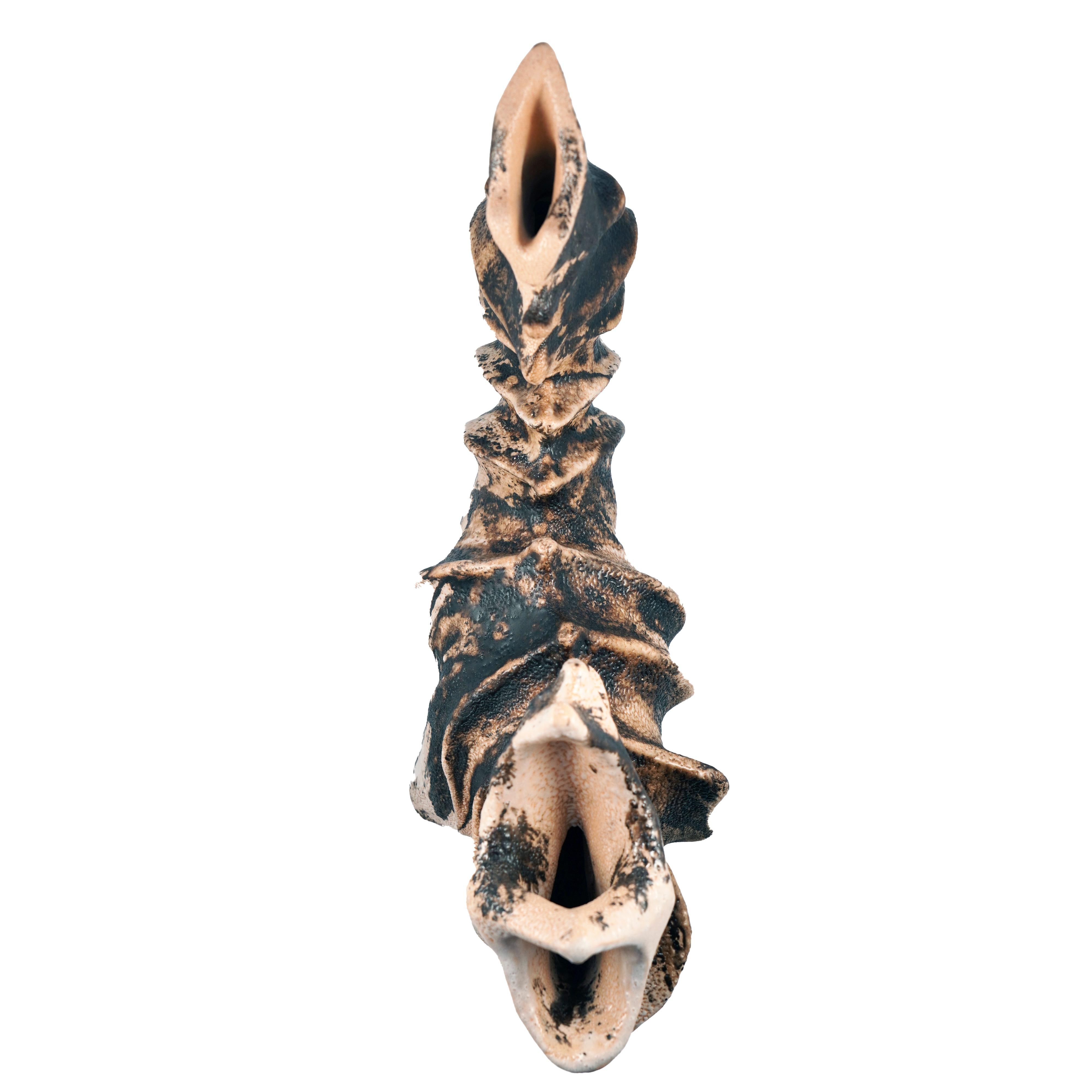 XXIe siècle et contemporain Série Bone n°5, collection Bones, sculpture en céramique raku d'Adil Ghani en vente