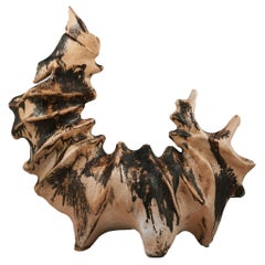 Bone series no.5 - Bones collection raku ceramic pottery sculpture by Adil Ghani