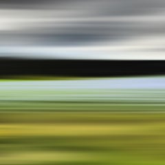 Bonnie Edelman Fotografía "Hierba azul de Suecia", Serie Scapes, 2014