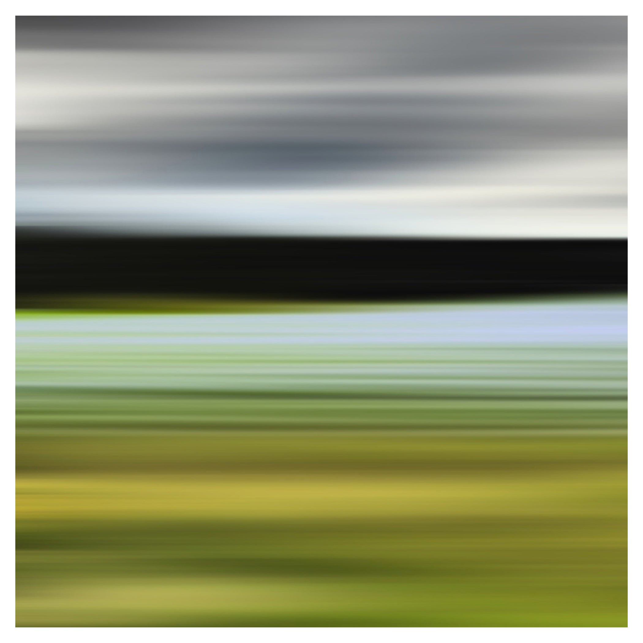 Bonnie Edelman "Blue Grass of Sweden" Photograph, Scapes Series, 2014