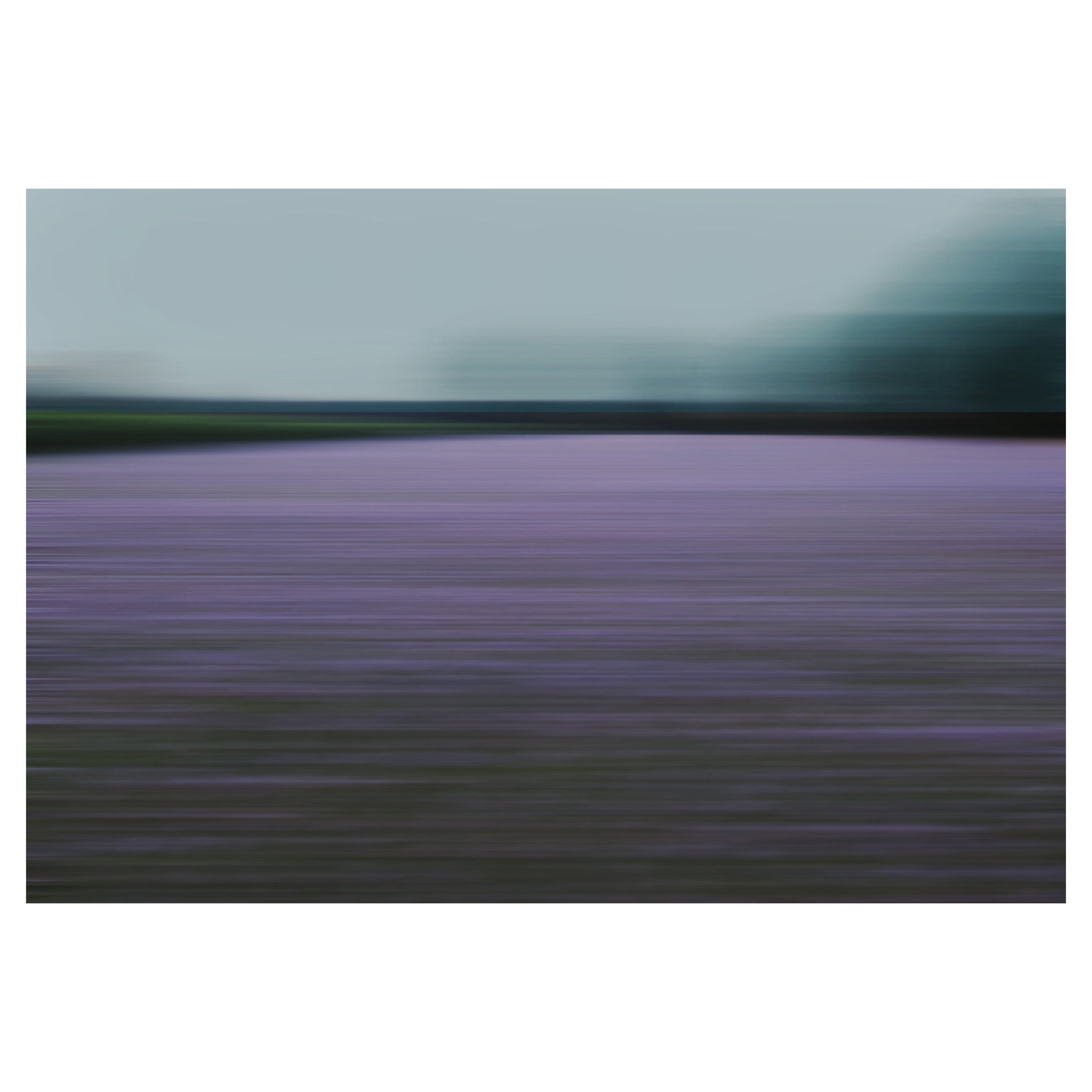 Photographie Bonnie Edelman « Lavender Field at Dusk, Allemagne », Série de Scapes, 2017