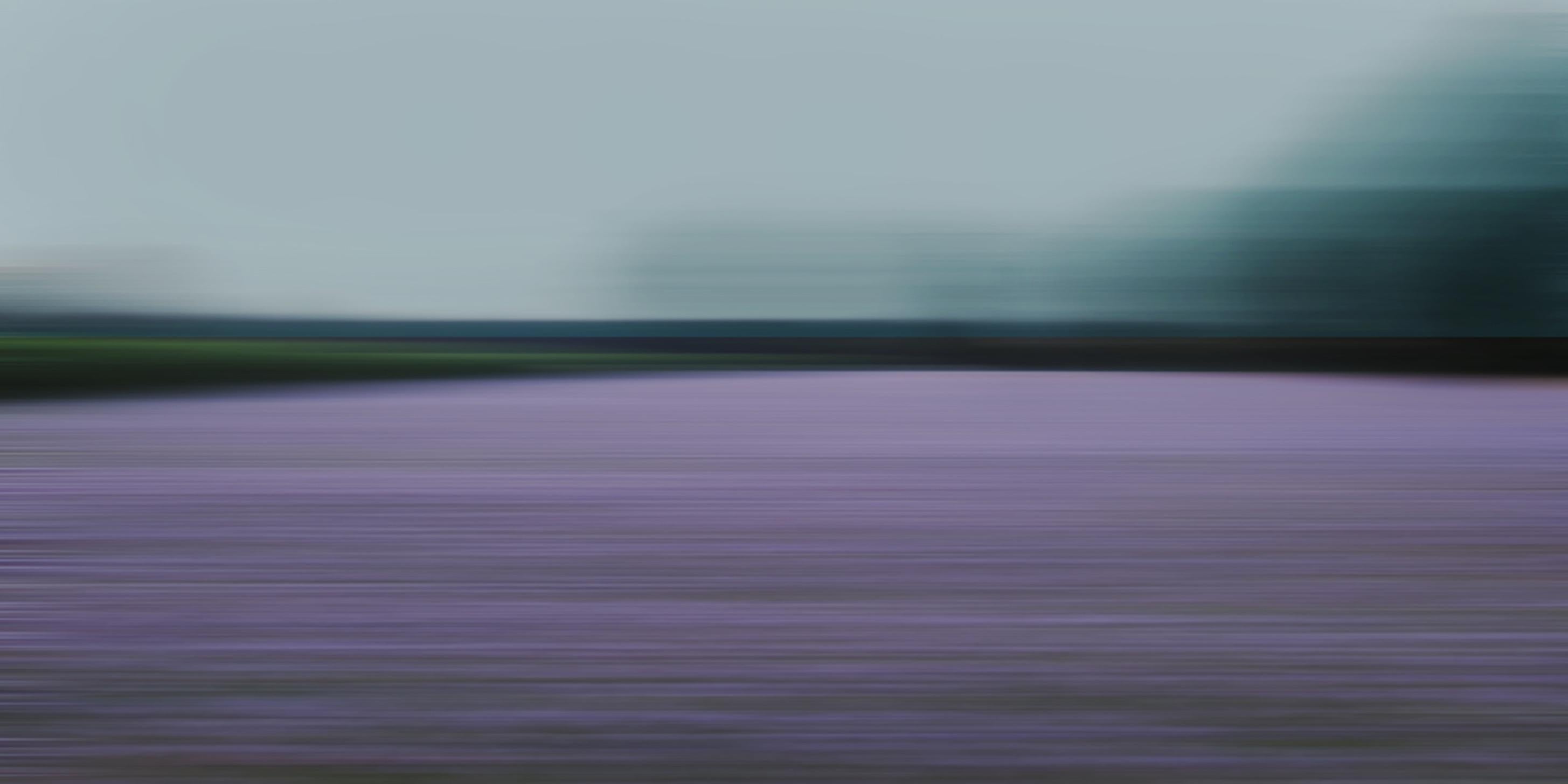 Moderne Photographie Bonnie Edelman « Lavender Field at Dusk, Allemagne », Série de Scapes, 2017 en vente