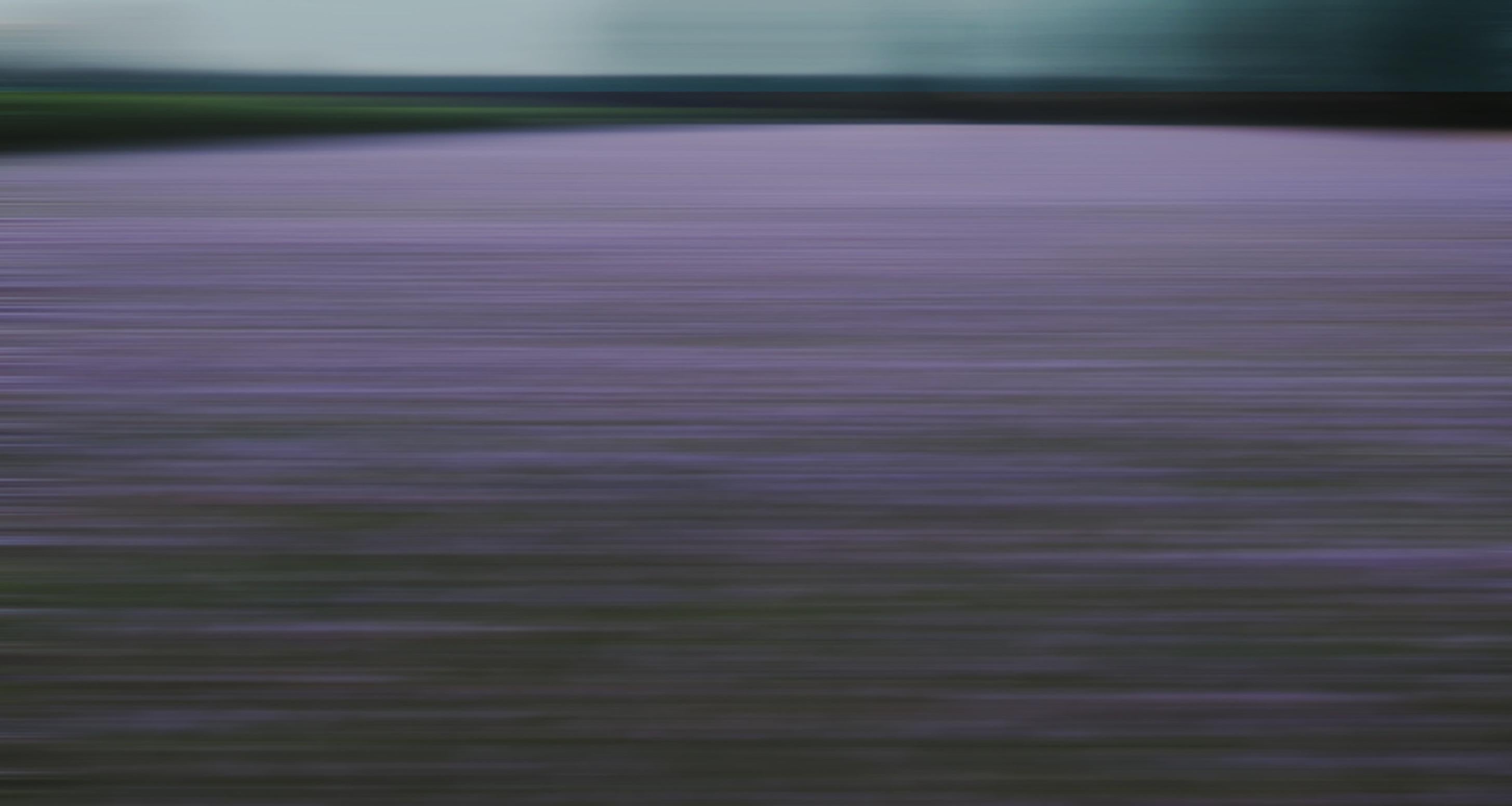 Américain Photographie Bonnie Edelman « Lavender Field at Dusk, Allemagne », Série de Scapes, 2017 en vente