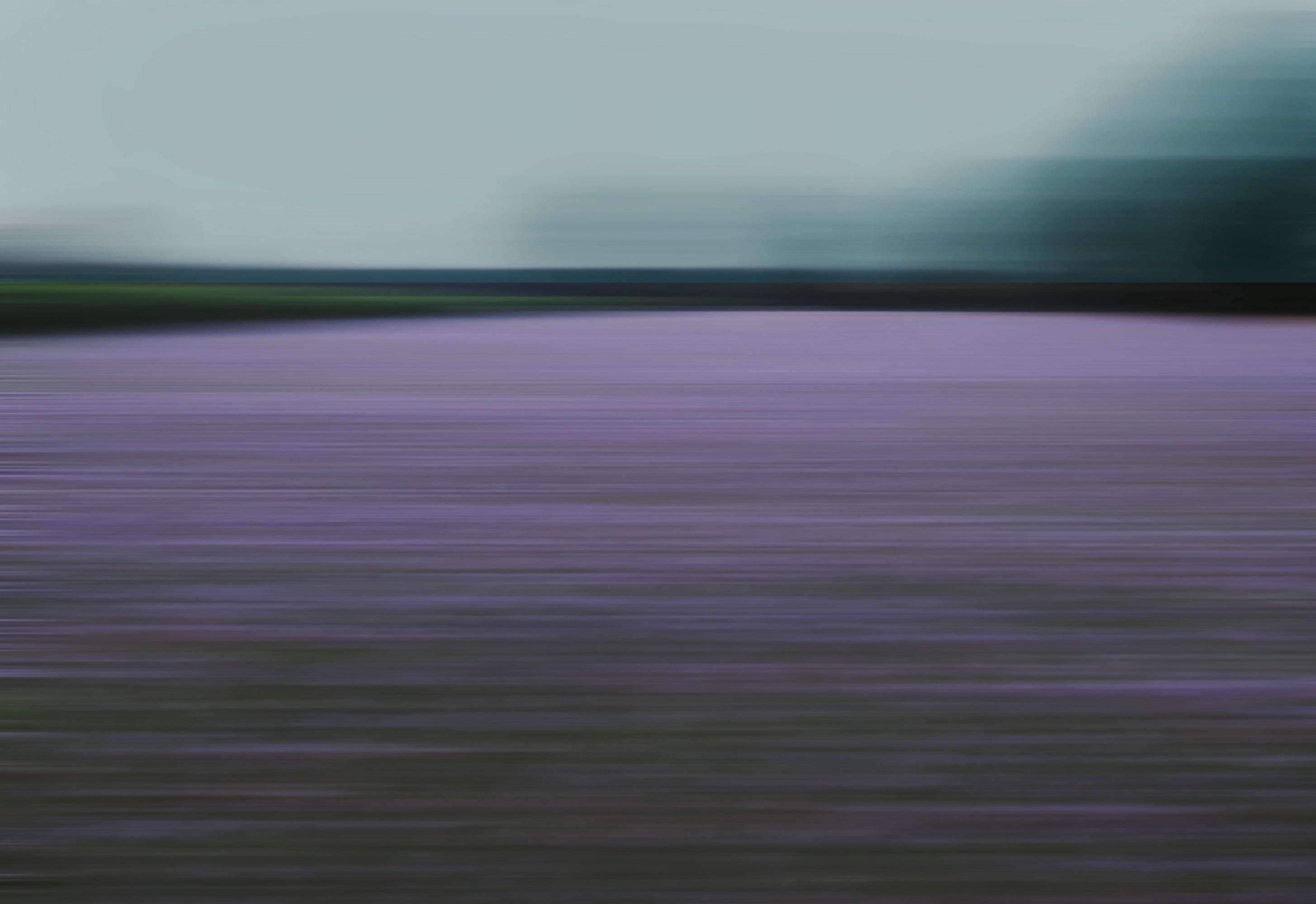 Photographie Bonnie Edelman « Lavender Field at Dusk, Allemagne », Série de Scapes, 2017 Neuf - En vente à New York, NY
