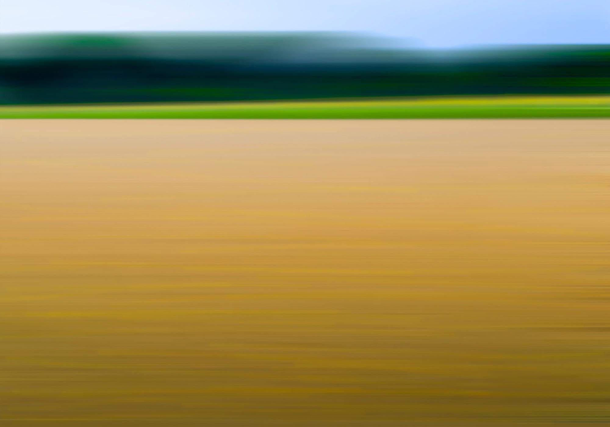 Américain Photographie Bonnie Edelman « Wheat Field Golden » ( champ de blé rouillé doré), série Scapes, 2009 en vente