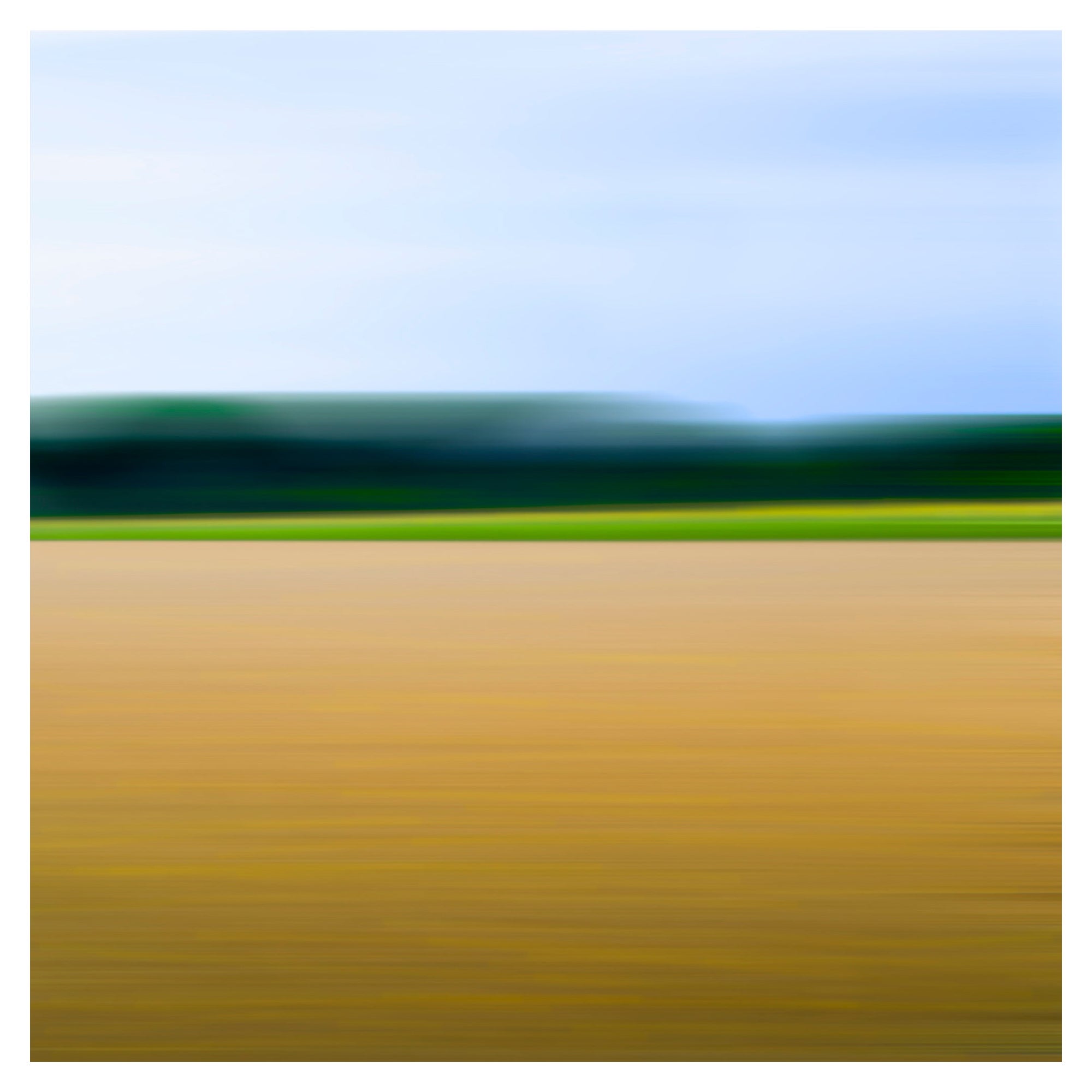 Bonnie Edelman ""Sprouting Wheat Field Golden"" Fotografie, Scapes Series, 2009