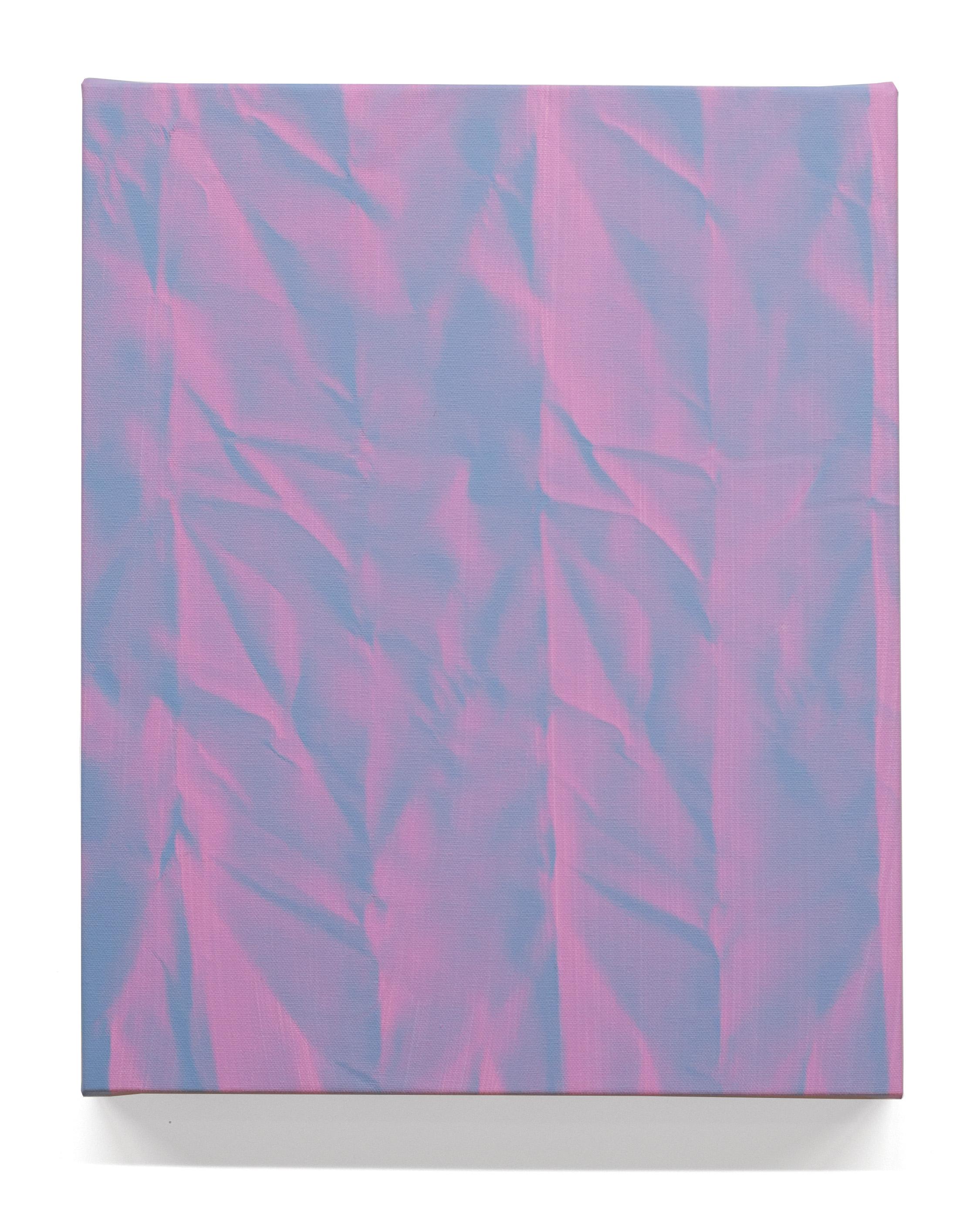 BONNIE MAYGARDEN dice de su trabajo...

Mi obra se inspira en una cultura definida por la experiencia digital y reacciona ante ella, pero la imaginería de la obra se crea totalmente a mano, utilizando sólo pintura. Busco fenómenos naturales e