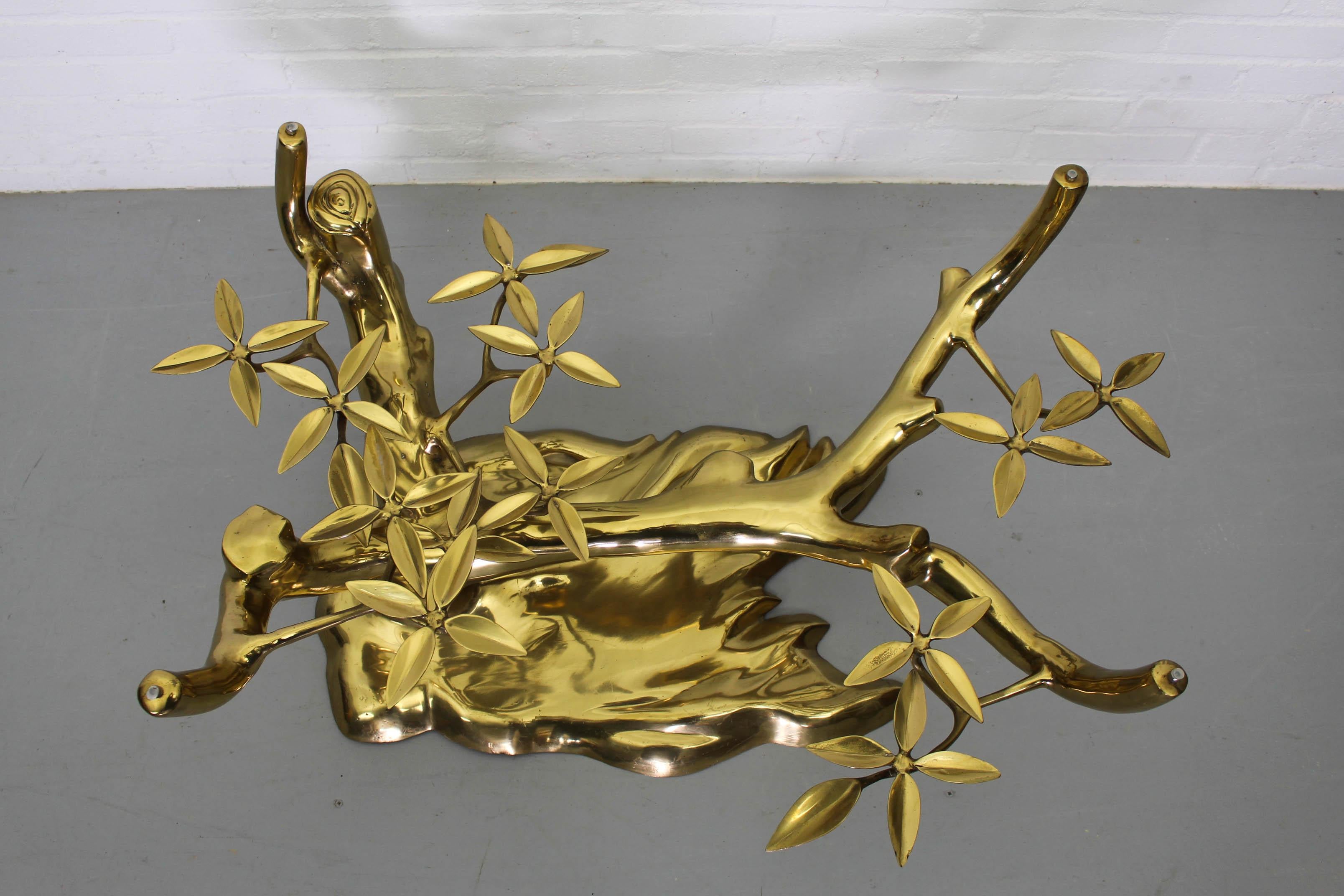 Bonsai Brass & Glass Coffee Table by Willy Daro, 1970s 3