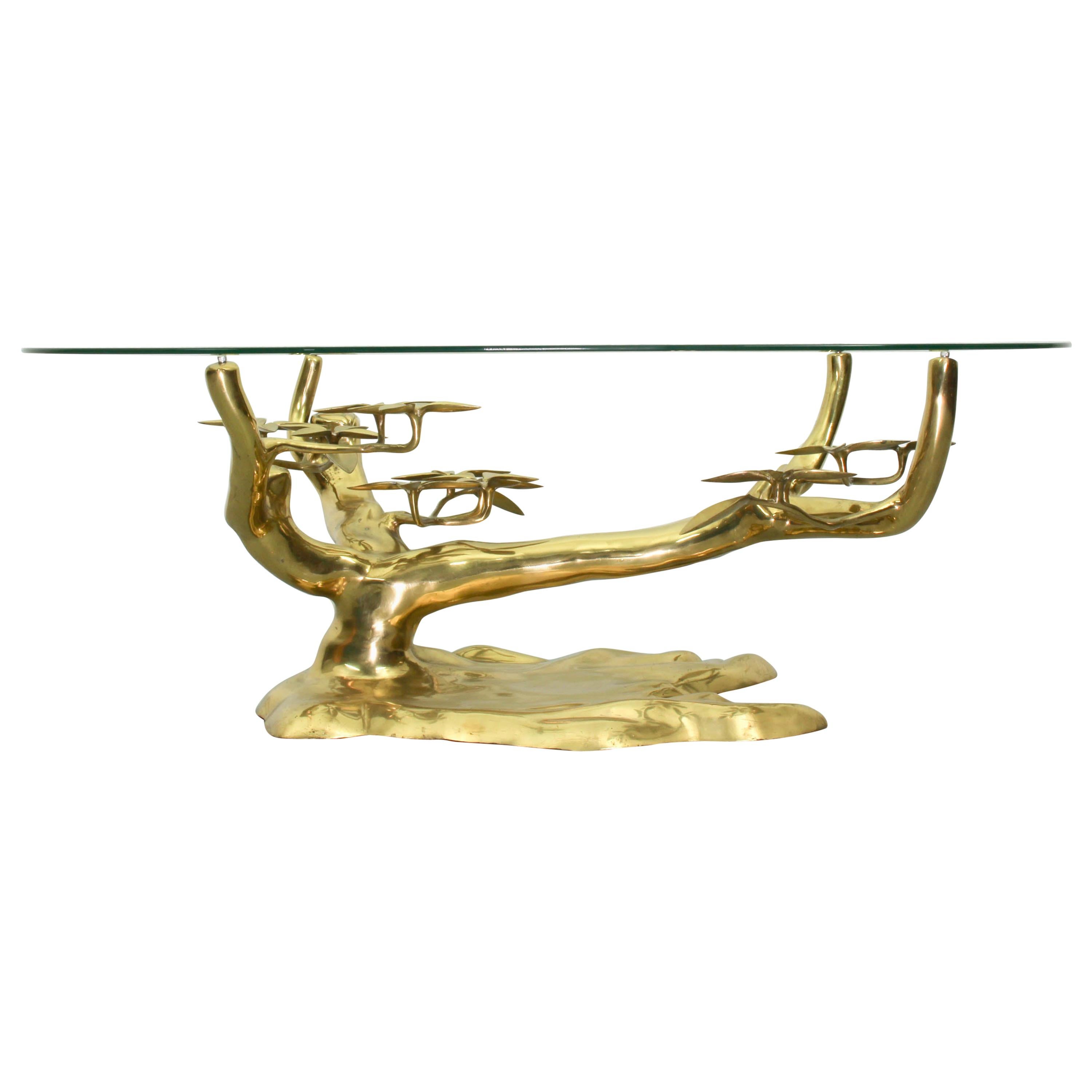 Bonsai Brass & Glass Coffee Table by Willy Daro, 1970s