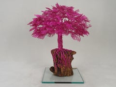 Bonsai "Cherry Blossom in Japan", Handmade in Italy, certified & signed
