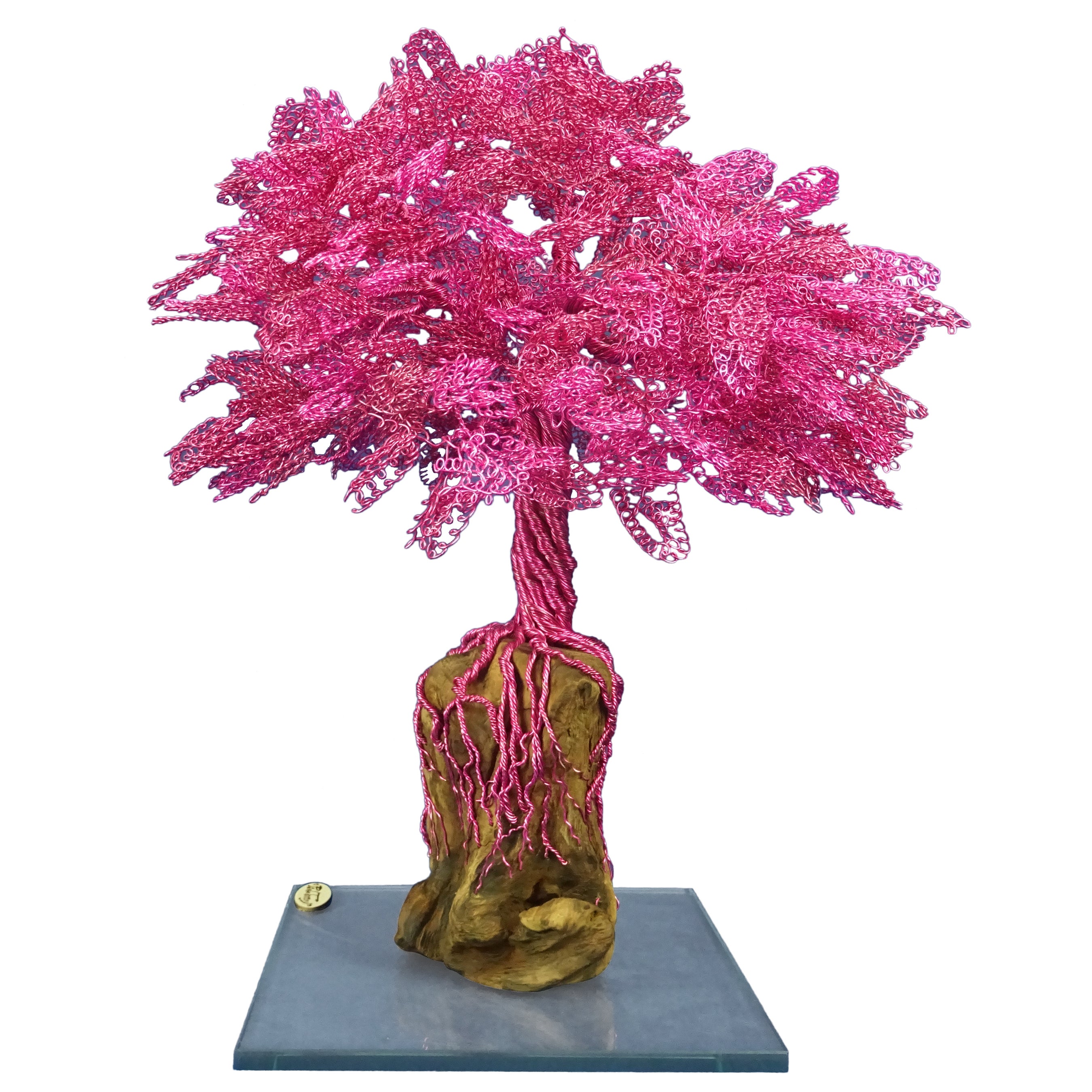 Bonsai "Fiori di ciliegio in Giappone", Fatto a mano in Italia, Firmato dall'artista.