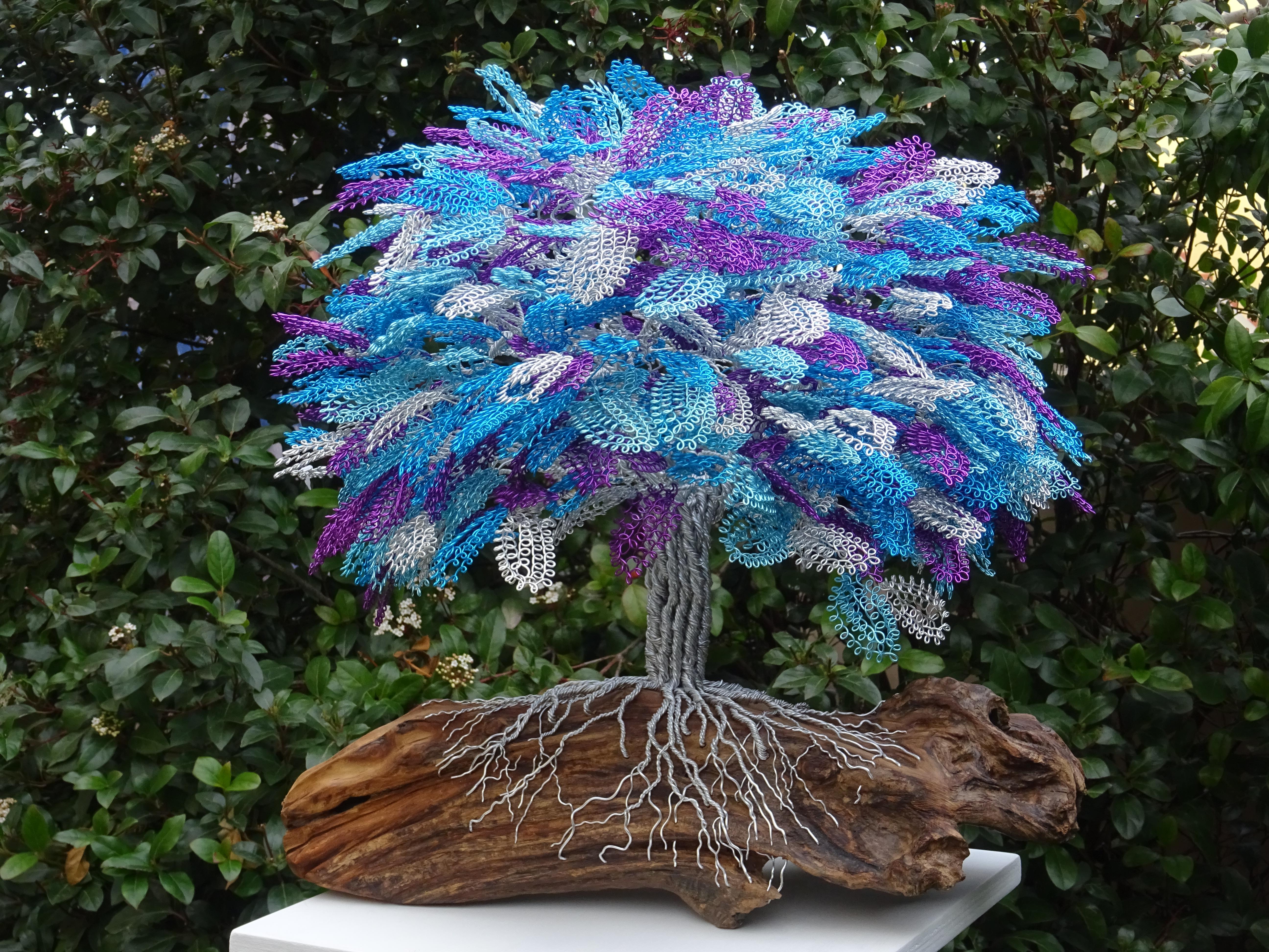 Bonsai „Jacaranda-Baum“, handgefertigt in Italien, einzigartiges Stück, vom Künstler signiert. (Italienisch) im Angebot