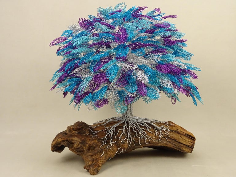 indoor plants austin tx Houseplant Consultation - Austin, Tx