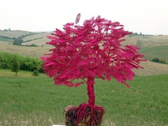 Bonsai "Sakura in Italy", Fatto a mano in Italia, Firmato dall'artista. Su misura