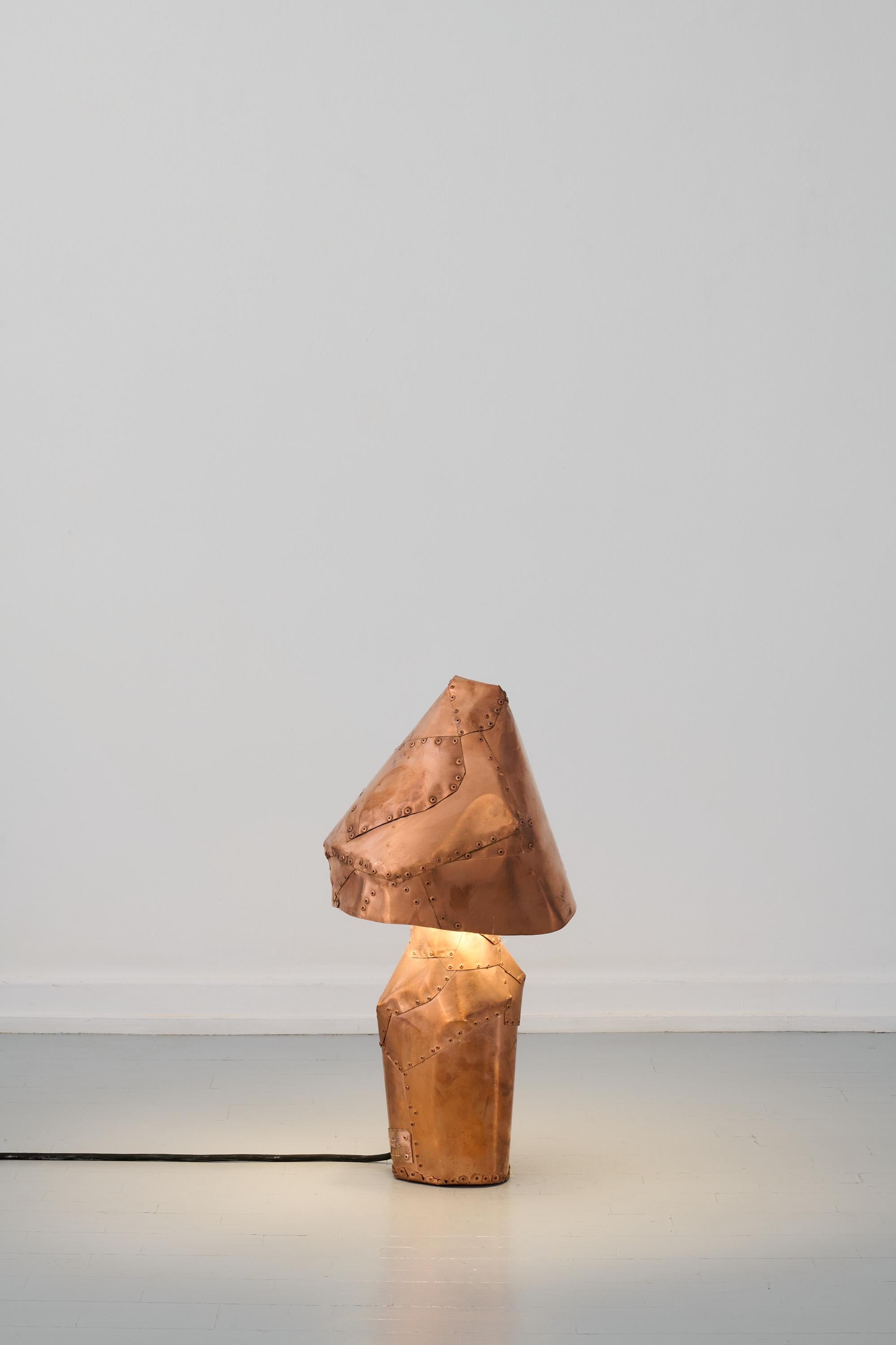 Lampe LED pour l'intérieur et l'extérieur.
En guise d'ode aux espèces de champignons intrigantes et presque mystérieuses, les 