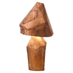Bonum Lumen 11