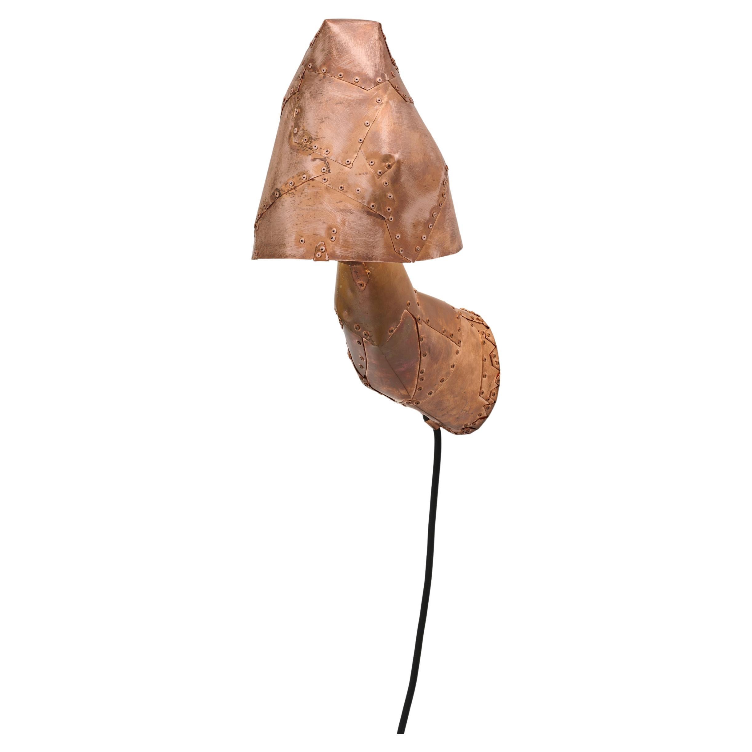 Bonum Lumen 13