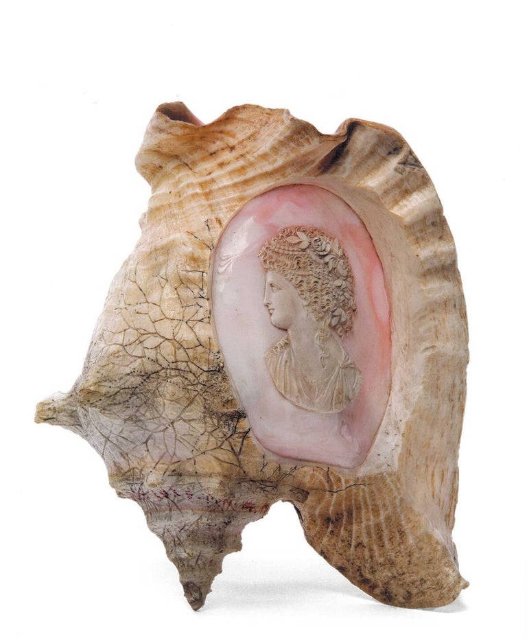 Book of The Pink Pearl, LA PERLE ROSE 'Tresor natural des Caraibes' at ...