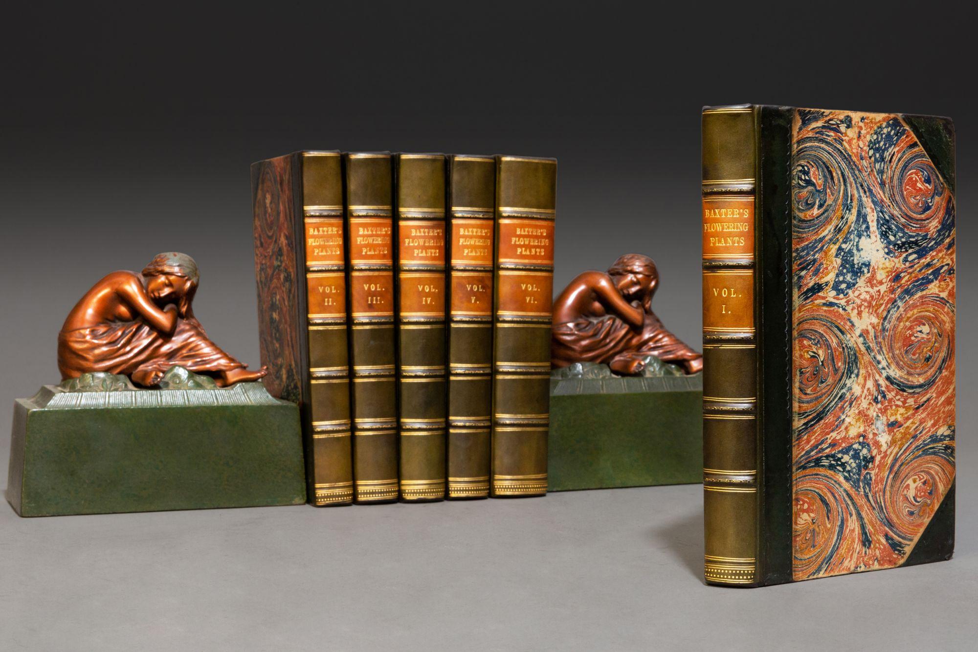 Leather 'Book Sets' 6 Volumes, William Baxter, British Phaenogamous Botany For Sale