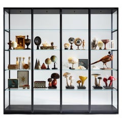 Bookcase, Glass Display Cabinet Design, Architectural Storage System, Italy